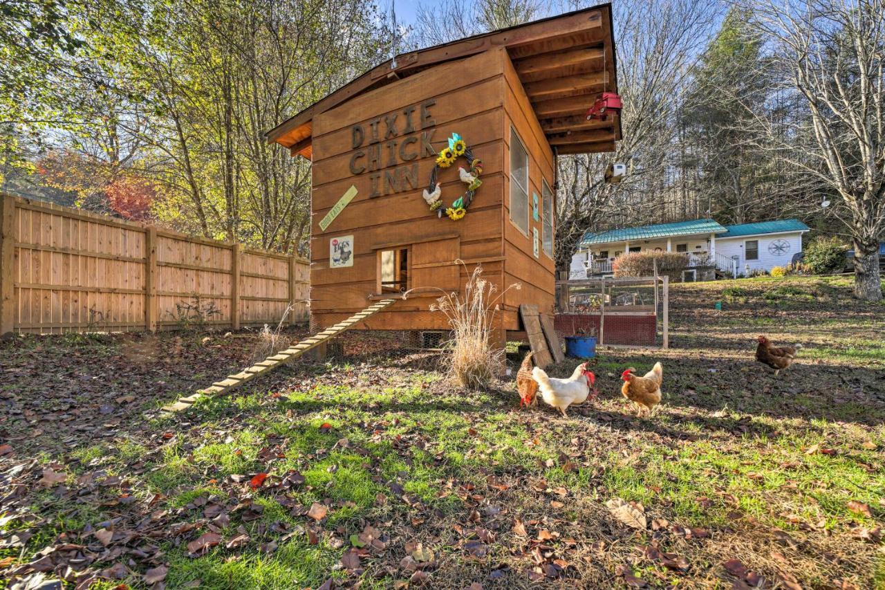 Whittier Smoky Mountain Vacation Rental With Hot Tub And Kayaks מראה חיצוני תמונה